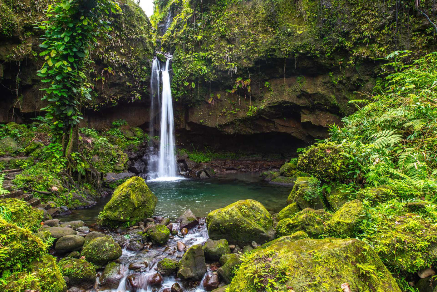 Les chutes du Carbet