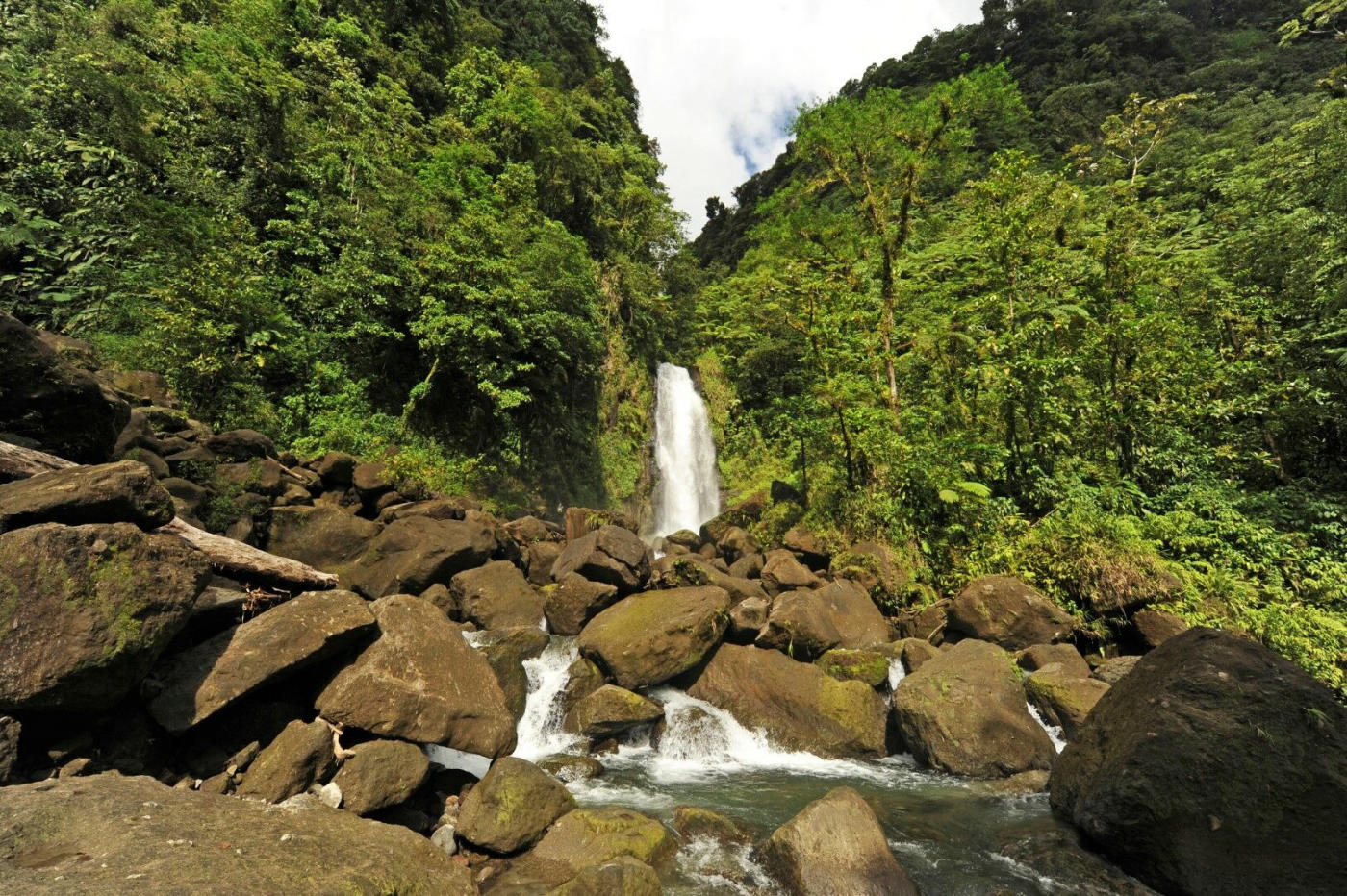 La Basse-Terre