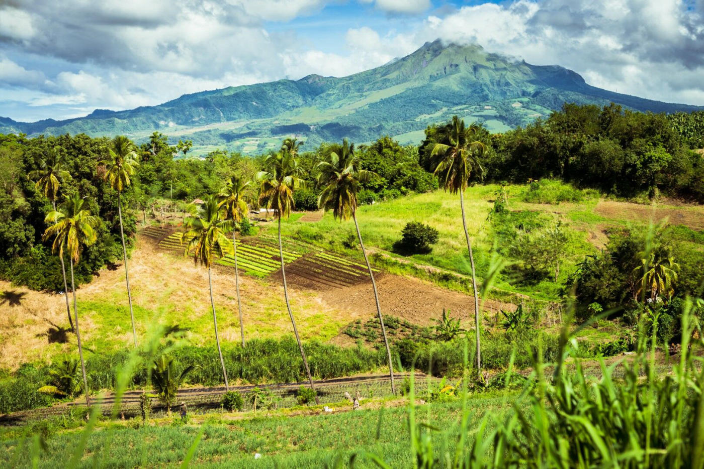 El norte