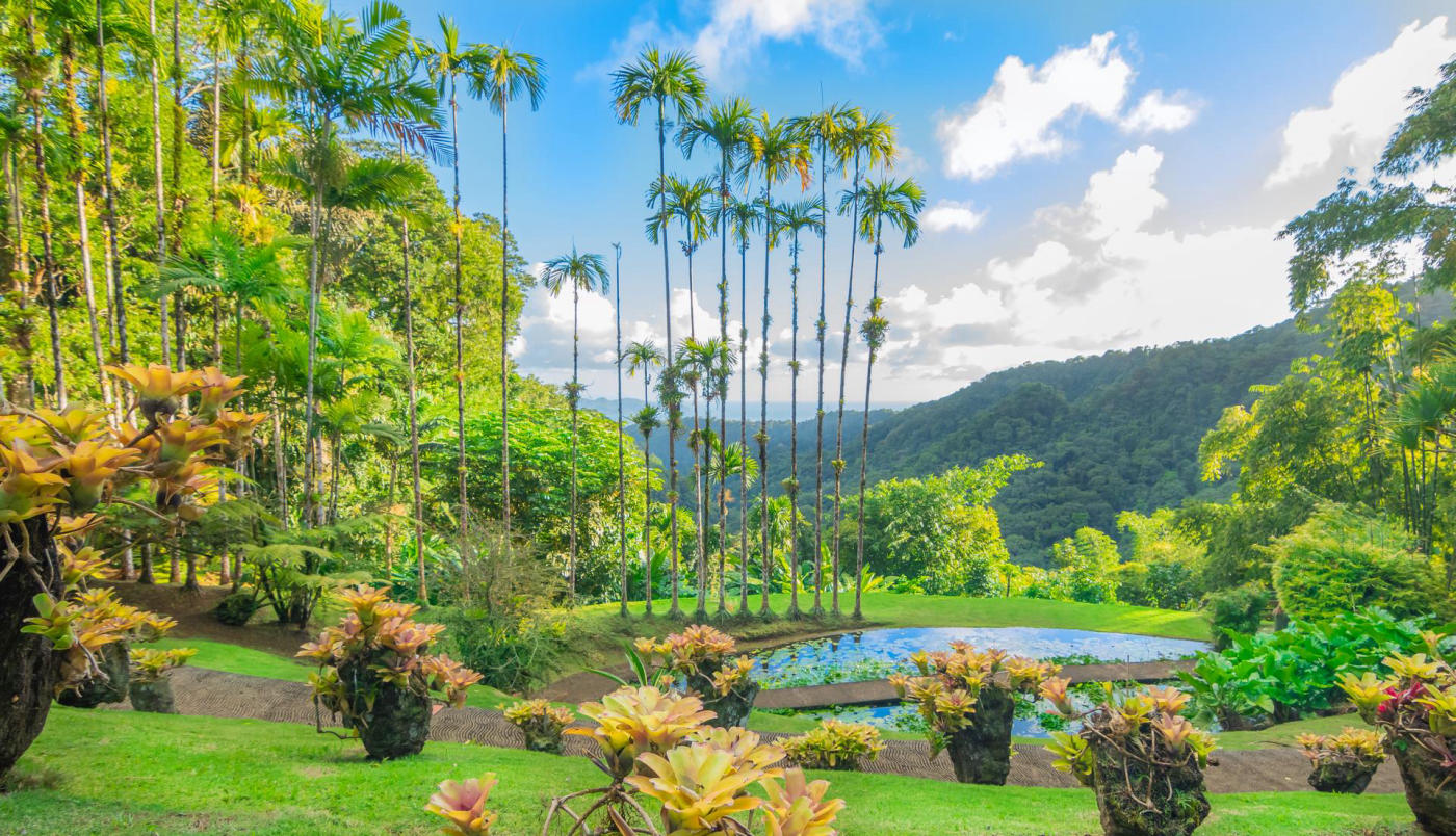 Le jardin de Balata