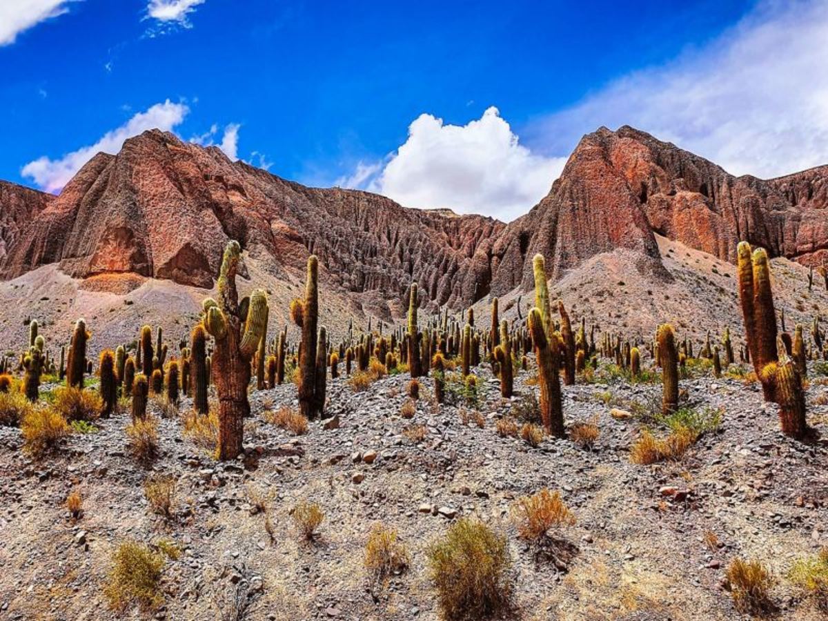 Purmamarca – Salta