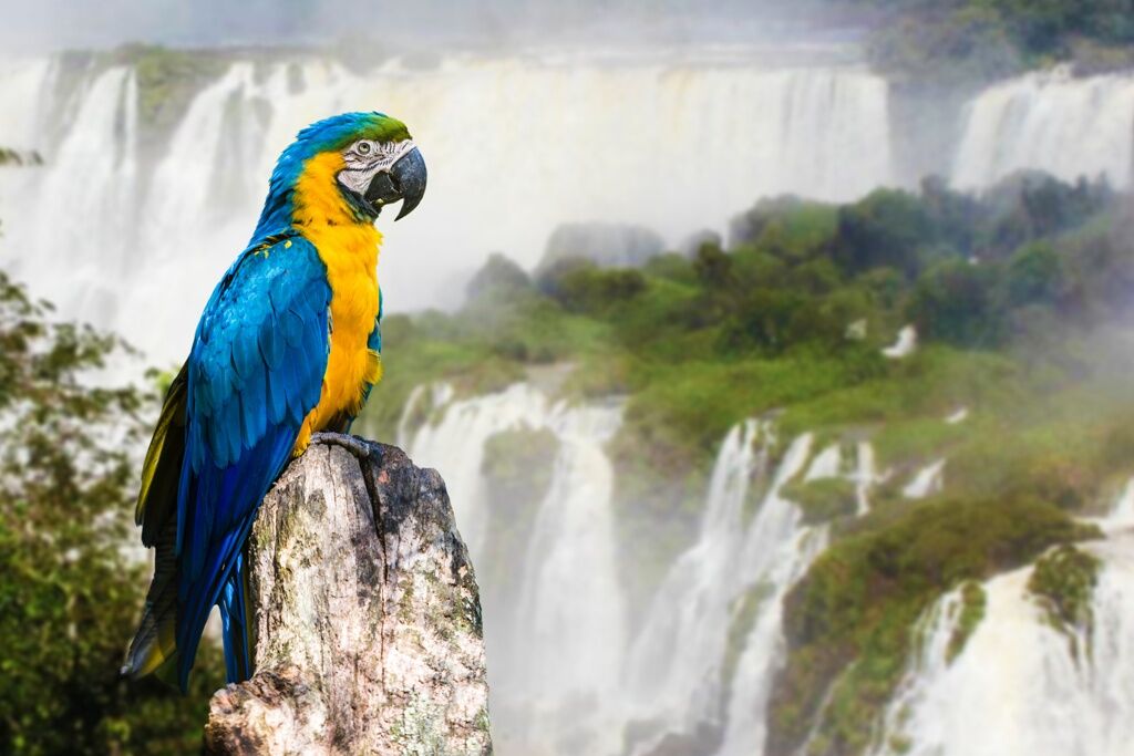 Impressions d'Argentine : Ushuaïa, El Calafate, Jujuy, Salta et les chutes d'Iguazú