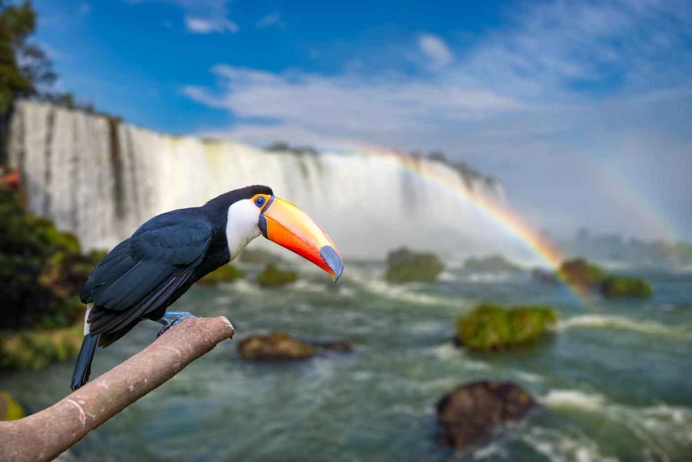 Maravillas de Brasil: las cataratas de Iguazú, Río de Janeiro y Salvador de Bahía