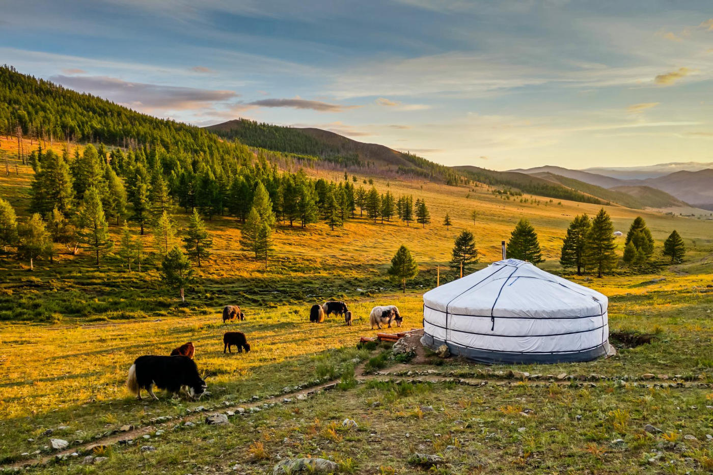 En el país de los nómadas: estepas, valle del Orjón y desierto de Gobi