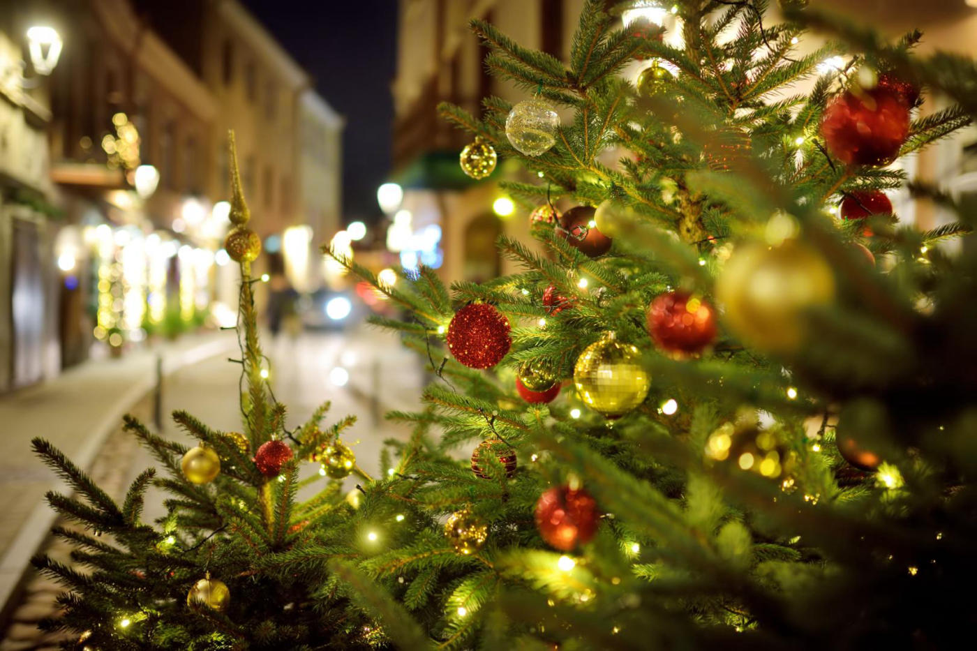 Vilnius celebrates — photo 6