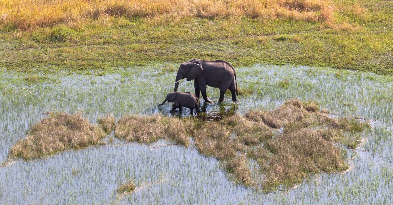 Le delta de l'Okavango