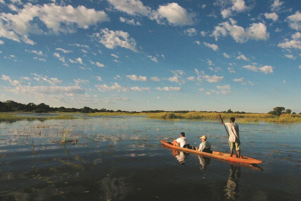 Botswana : Okavango, Moremi et Chobe en camps de brousse
