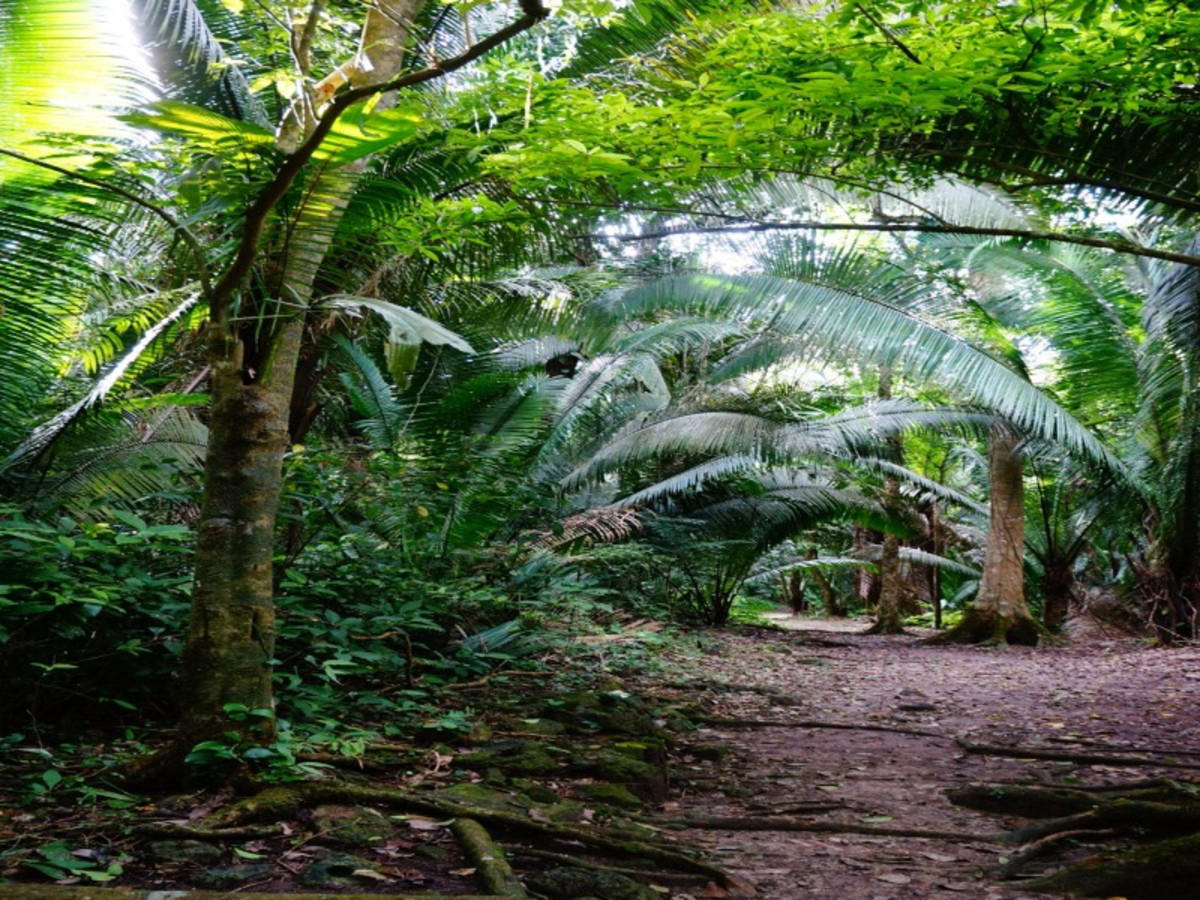 Quiriguá – Río Dulce