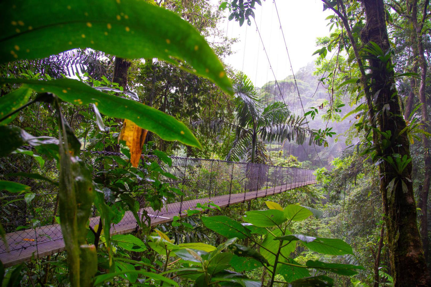 Rincón de la Vieja – Monteverde