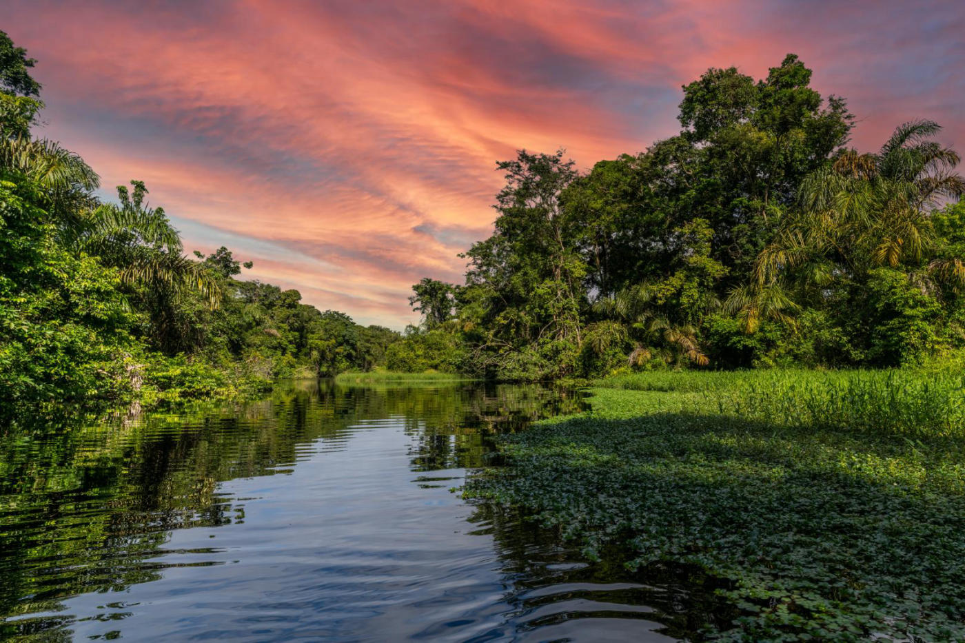 Magic of Costa Rica: Tortuguero, Irazú, Arenal, Rincón de la Vieja and Monteverde