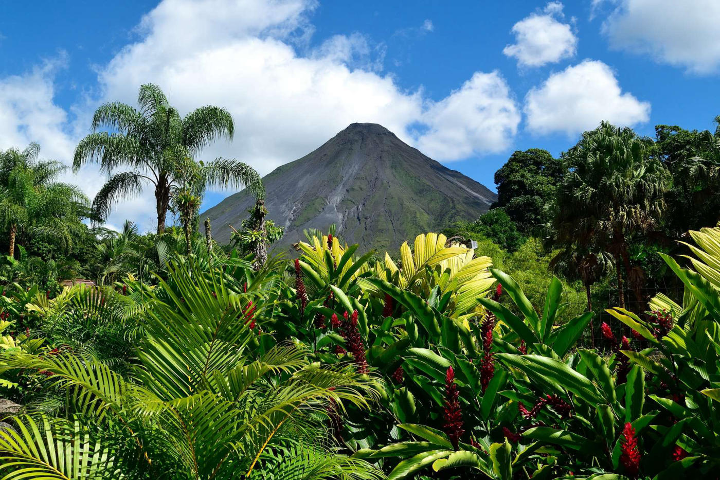 Arenal – Guanacaste
