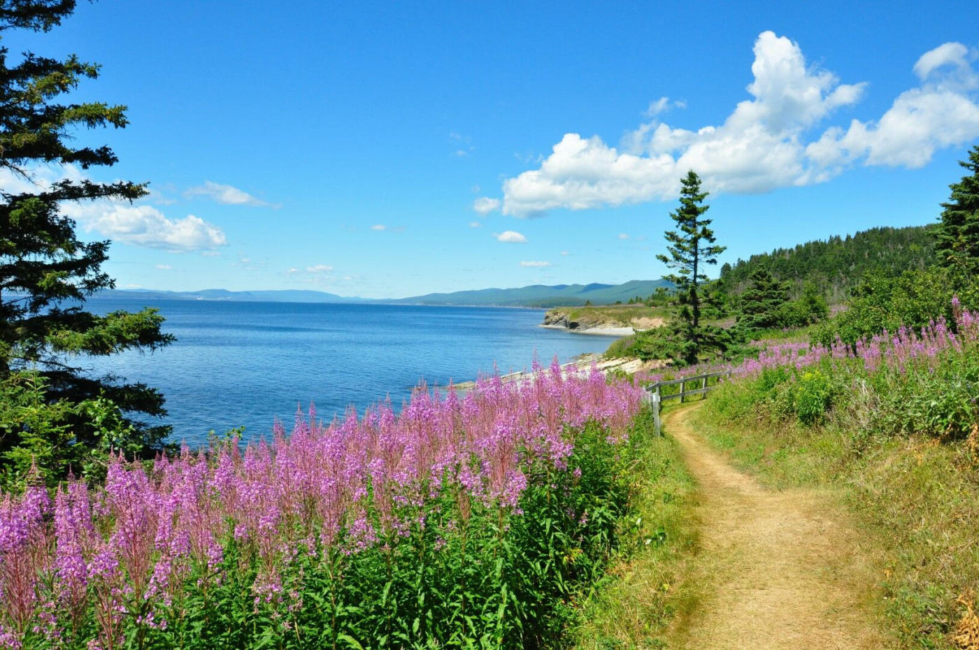 Gaspésie park