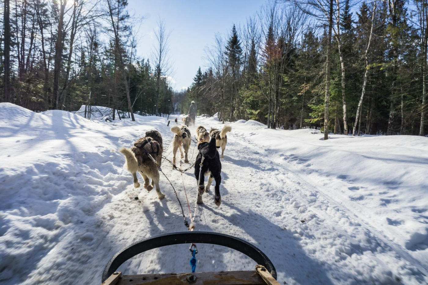 Au cœur de l'hiver canadien : motoneige, traîneau à chiens et fjord du Saguenay