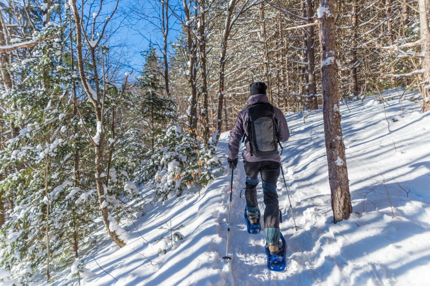 Raquettes, glissades et hockey