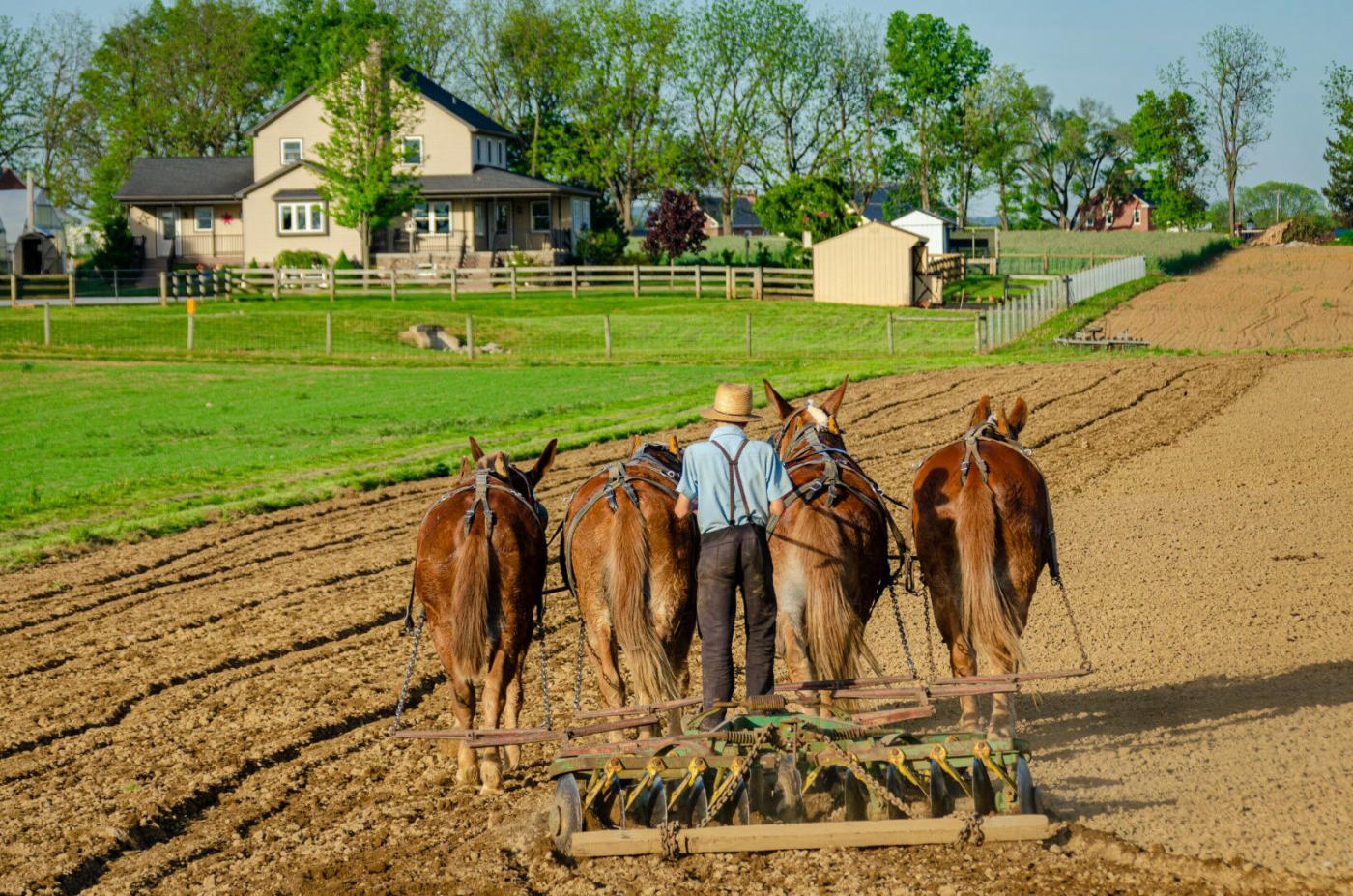 Washington – Amish country