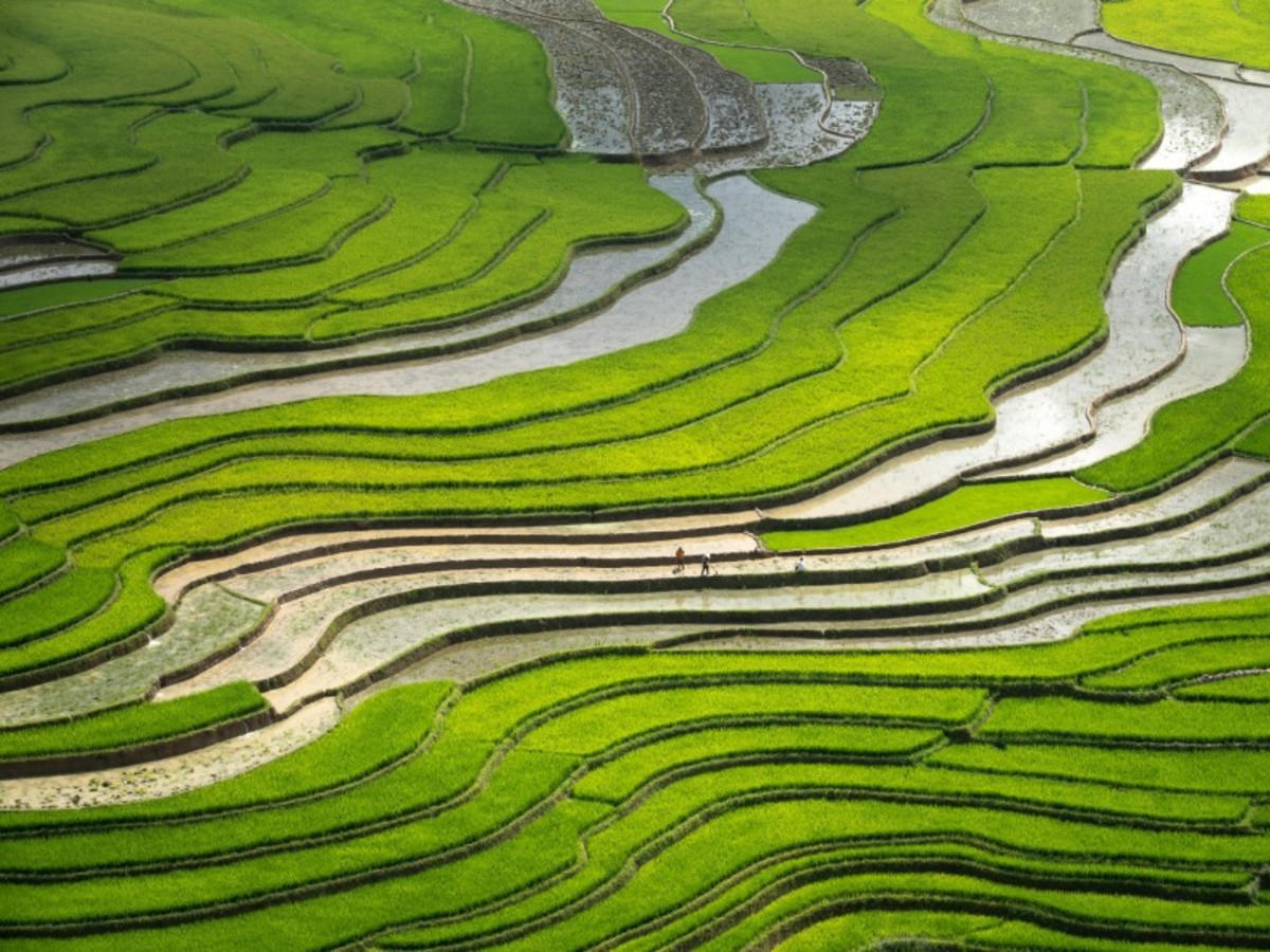 Tesoros de Yunnan: arrozales de Yuanyang, Dali, Shangri-La y Lijiang