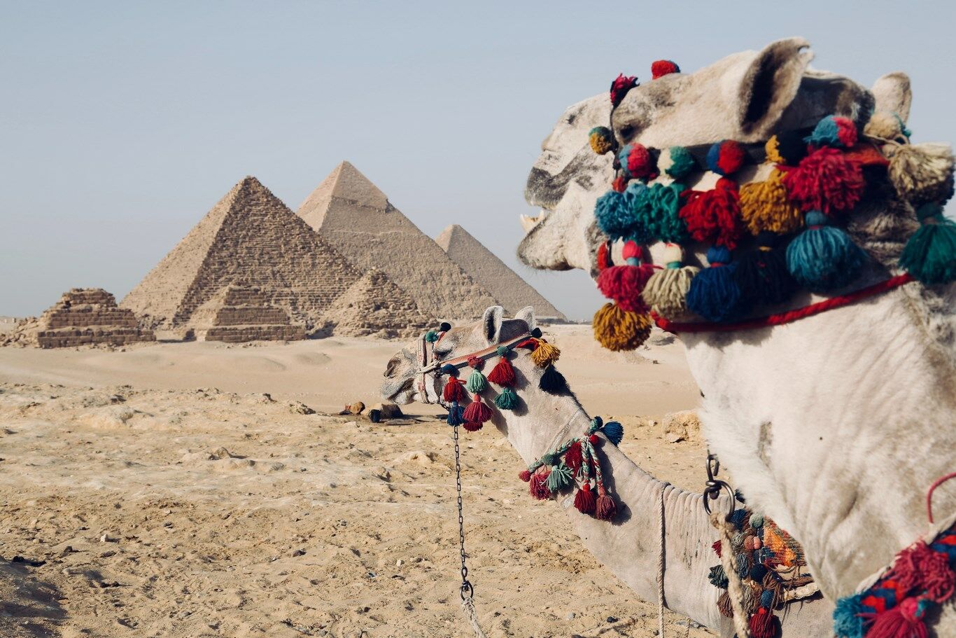 Llegada a El Cairo
