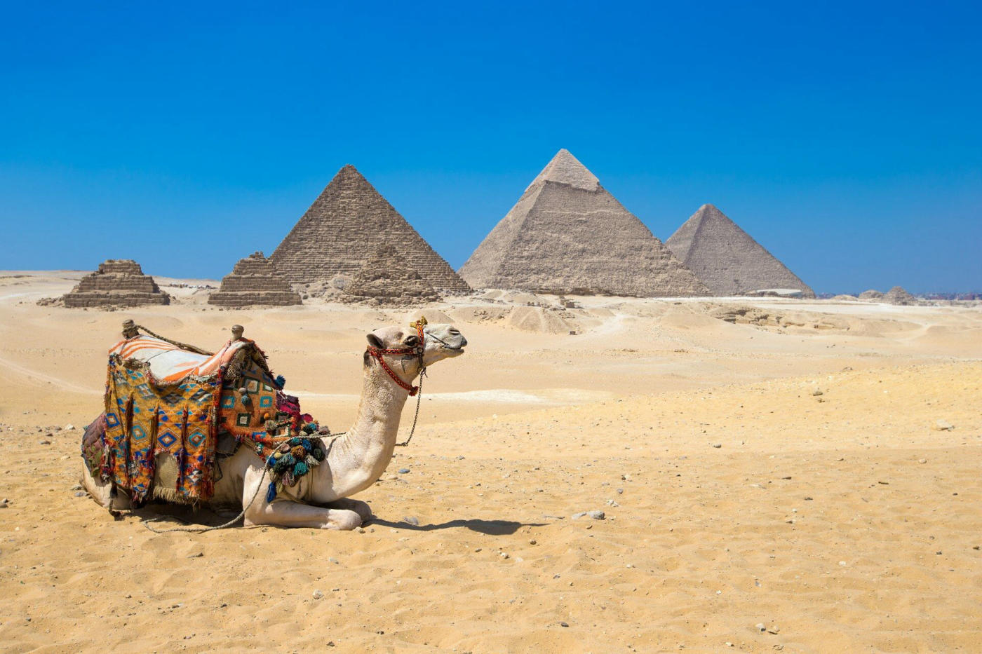 Arrival in Cairo