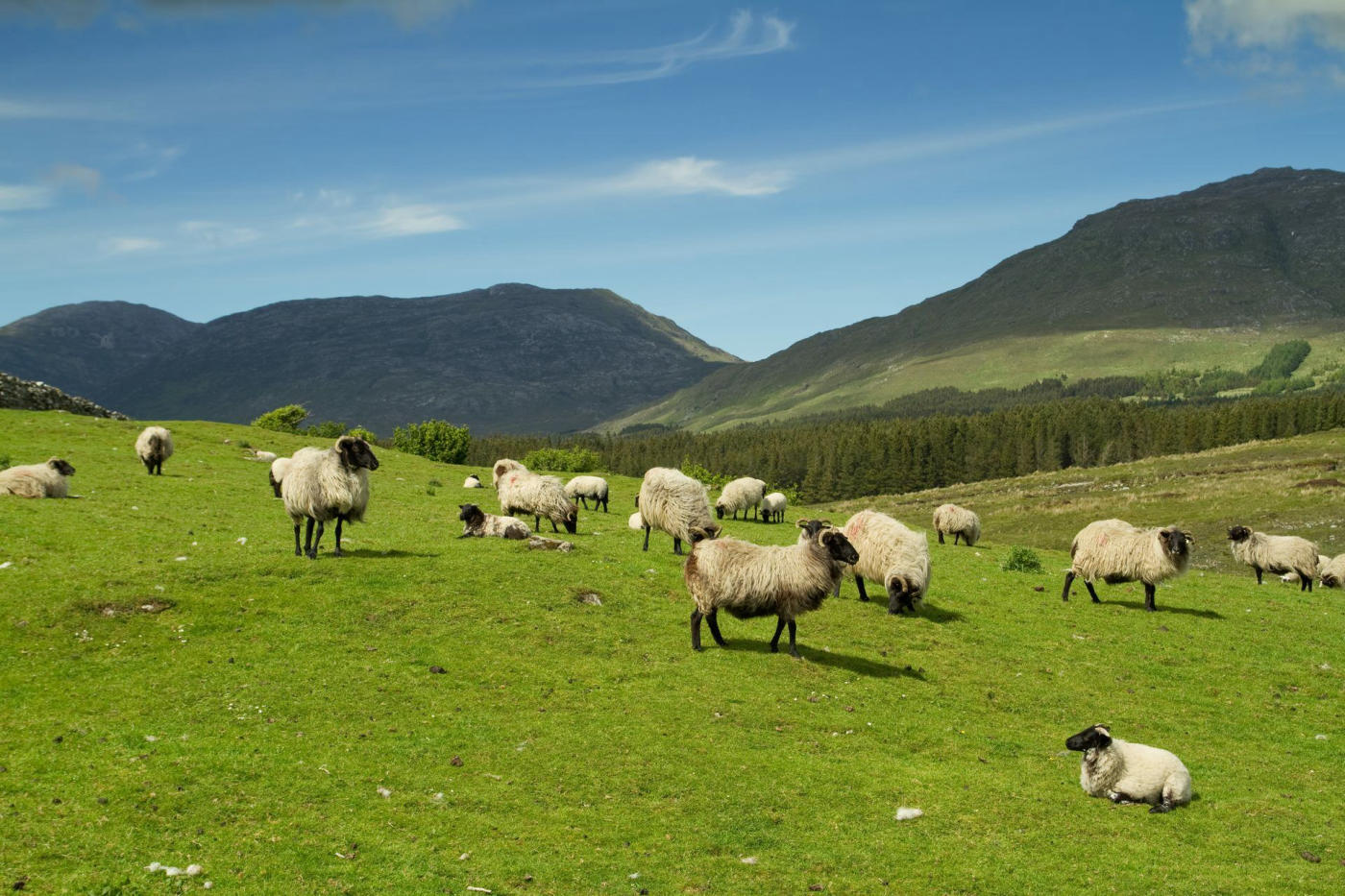 Connemara