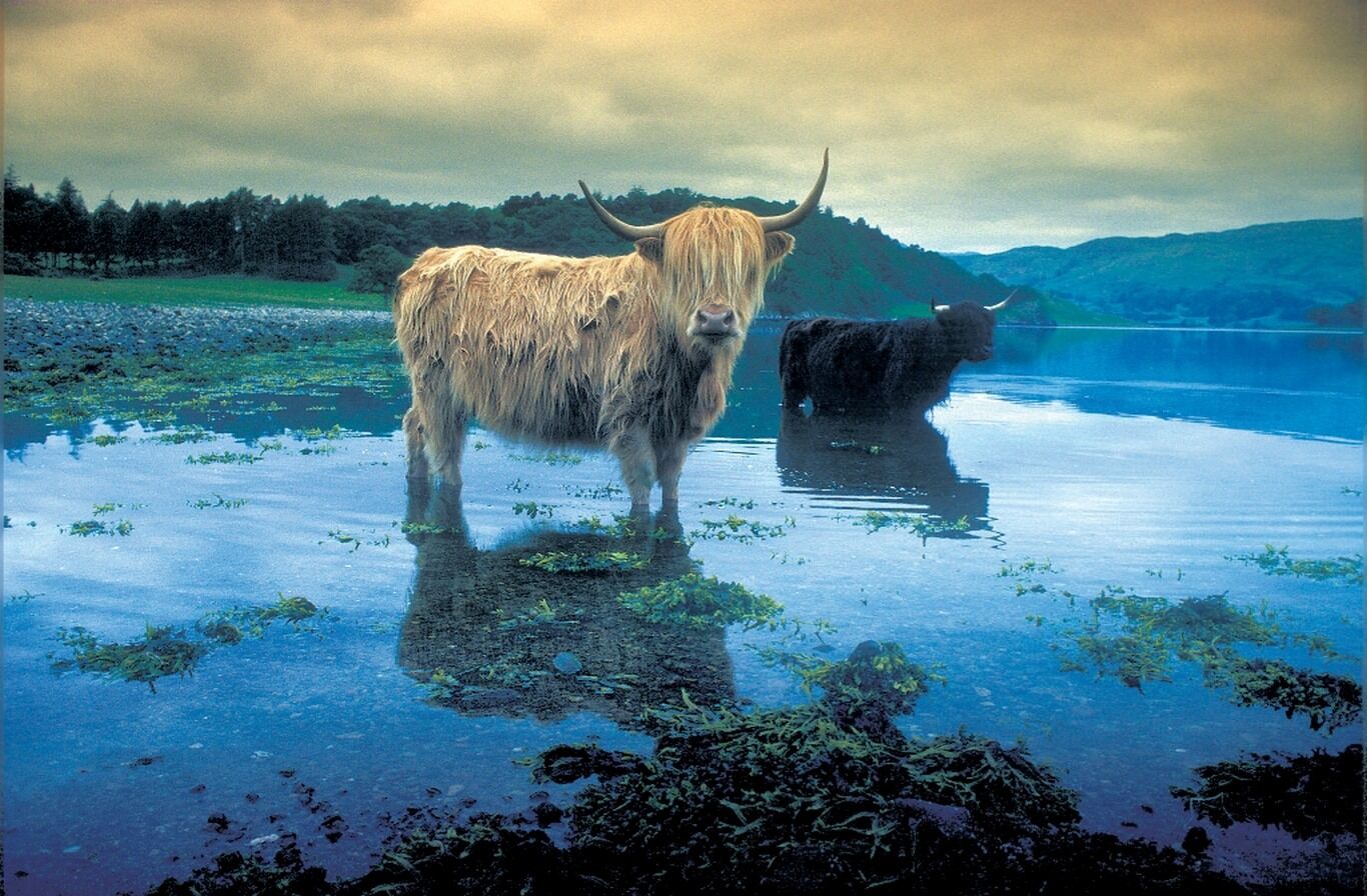 Trossachs – Loch Lomond – Fort William