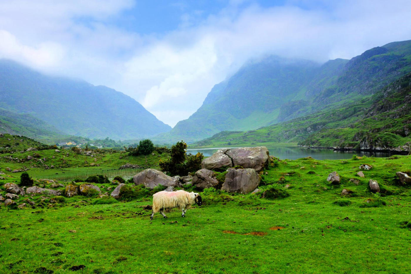 L'anneau du Kerry