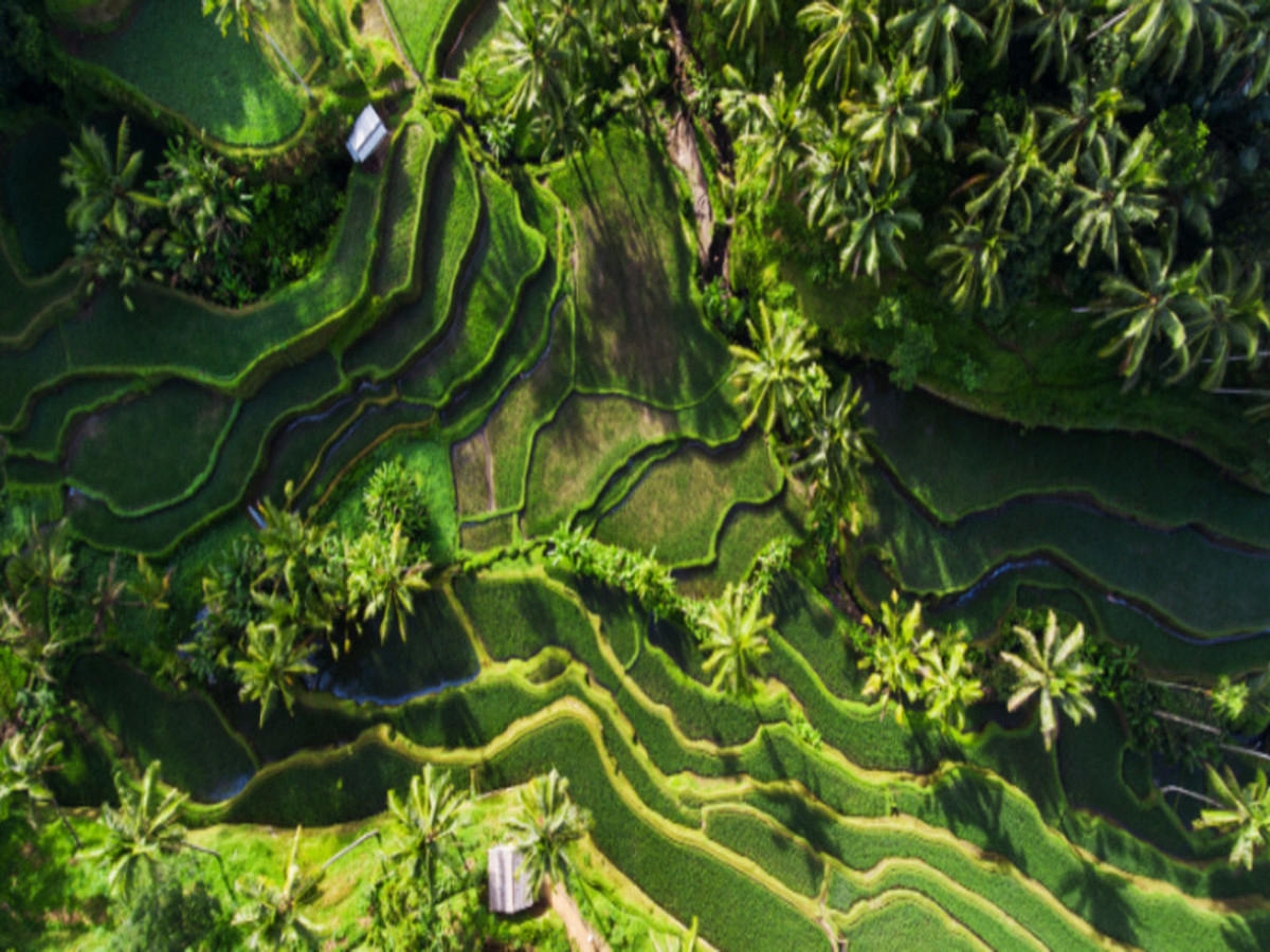 Bali sous un autre angle : VTT, randonnées et villages, en privé