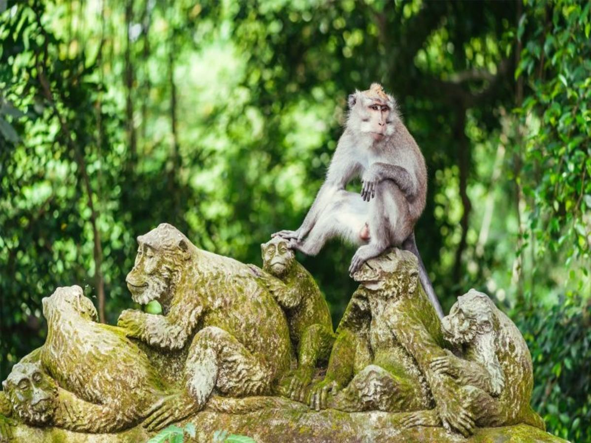 Ubud, journée libre