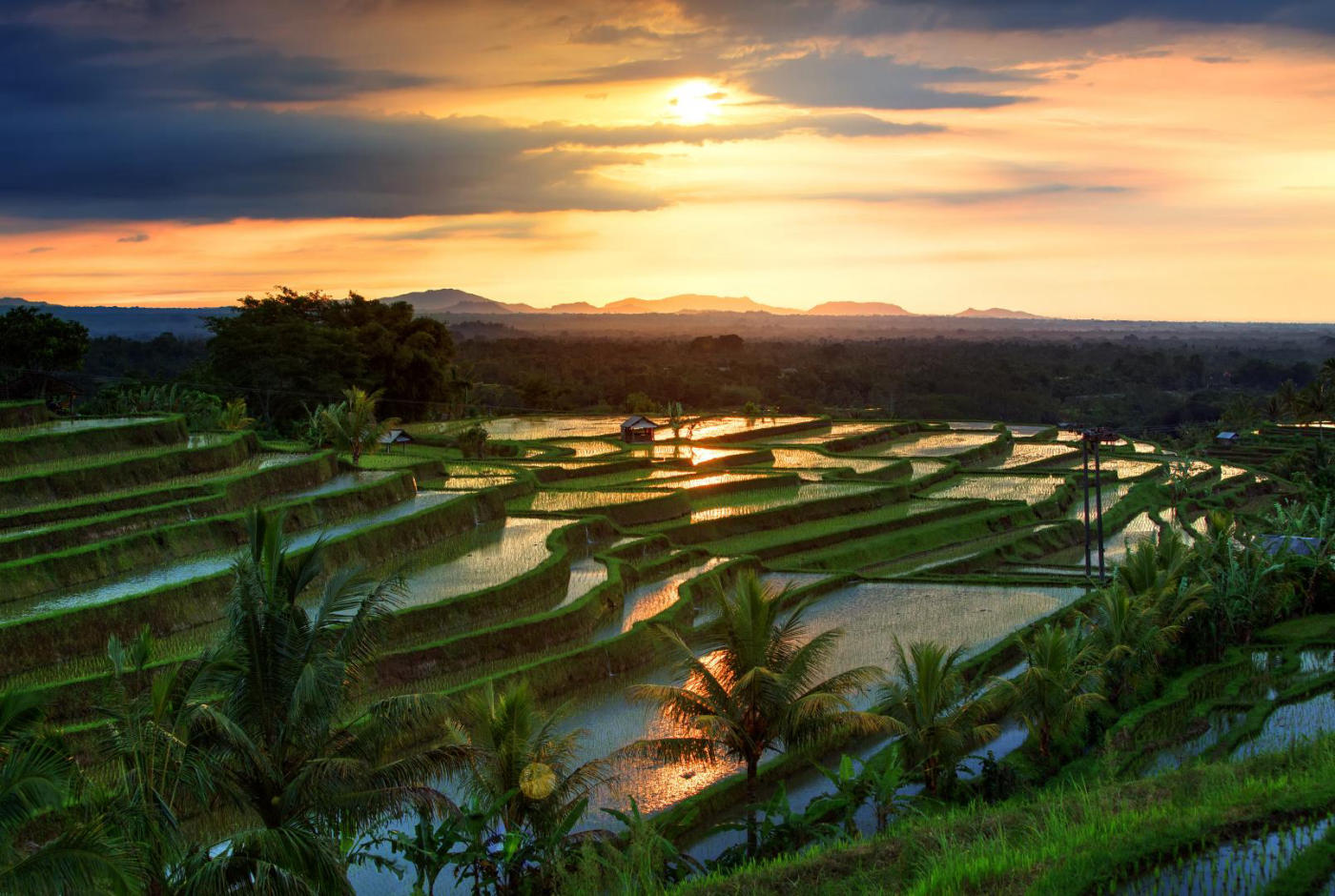 Bali auténtico: arrozales, volcanes, templos y una jornada en el pueblo