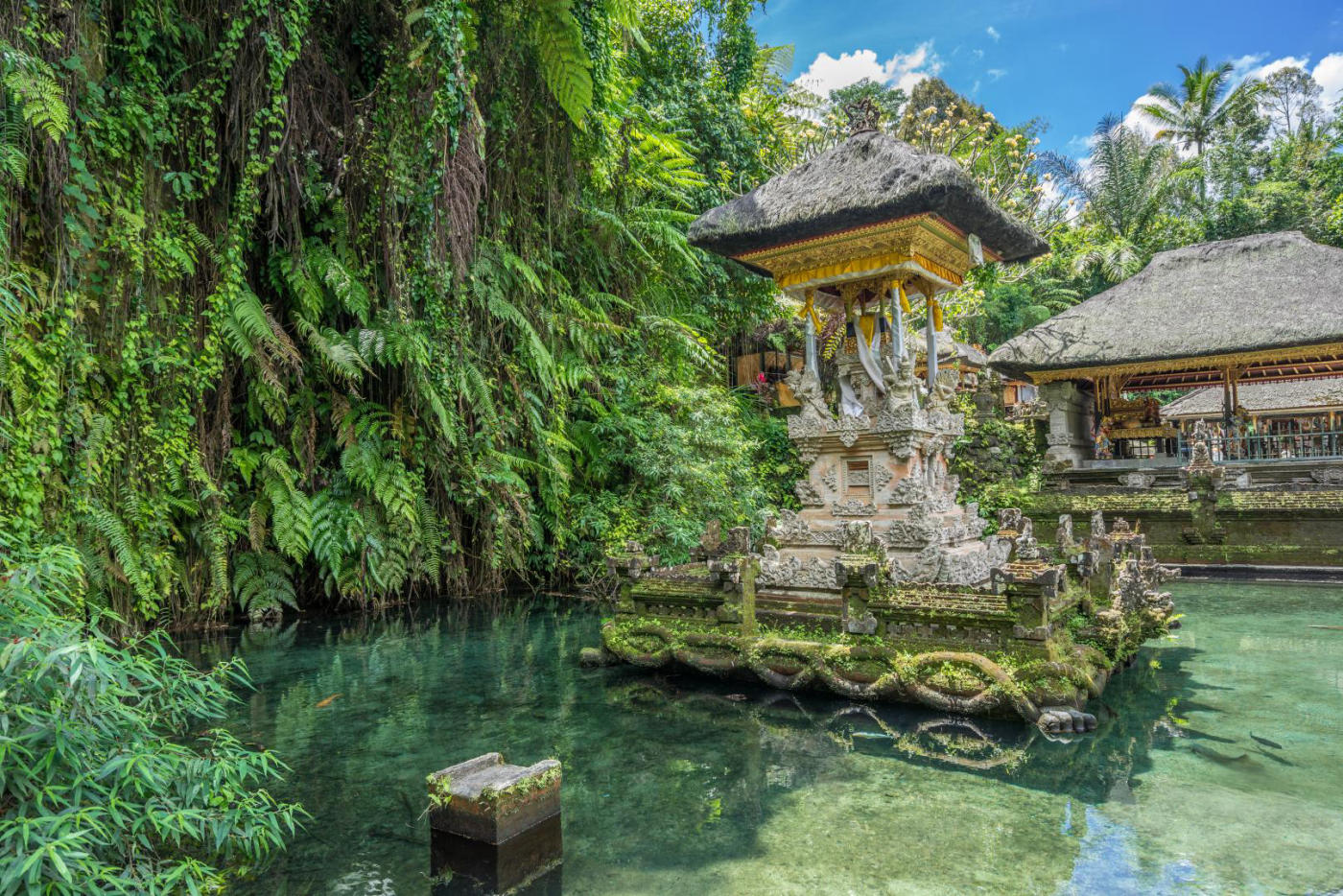 Ubud, jornada libre