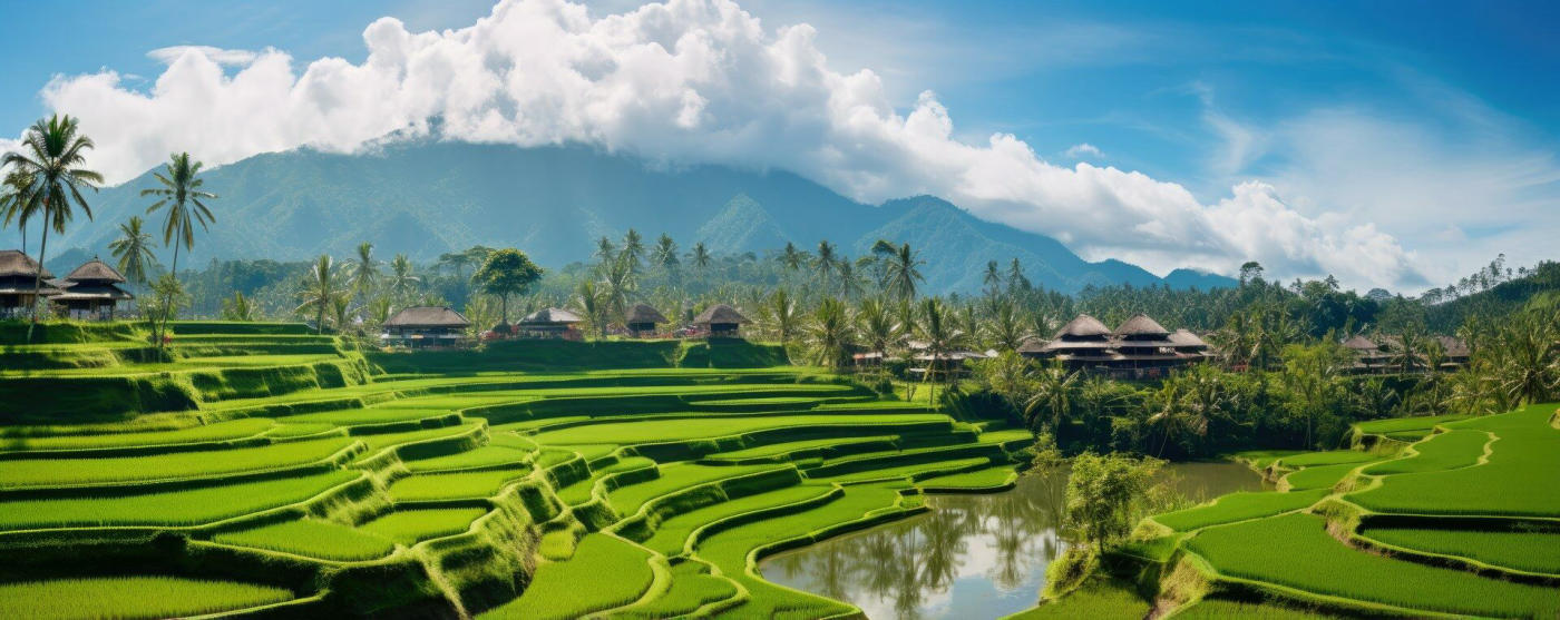 Vuelo a Bali