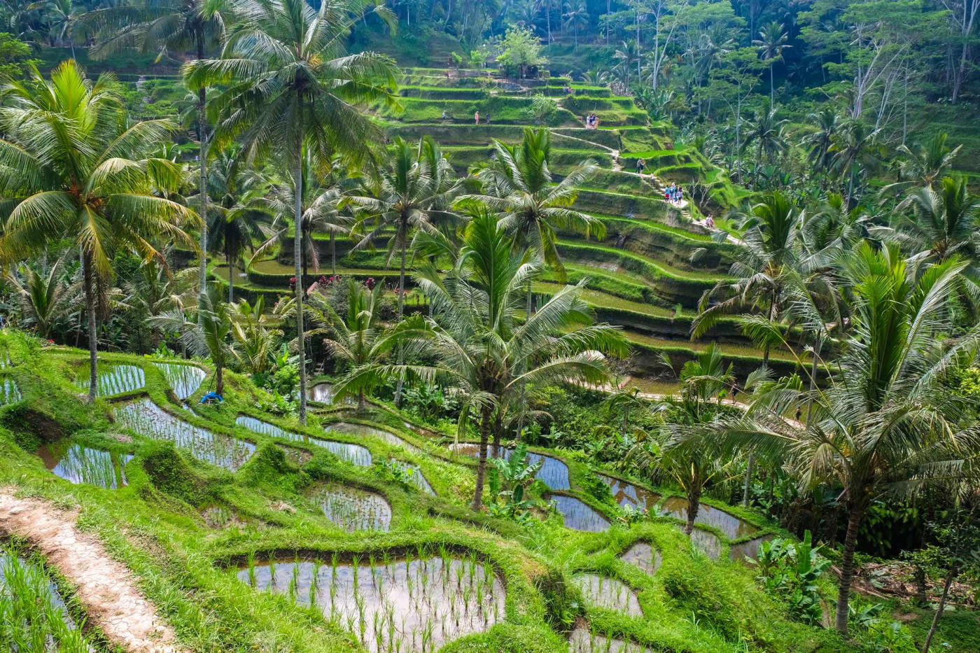Bali en liberté : cinq nuits à Ubud et quatre à la plage