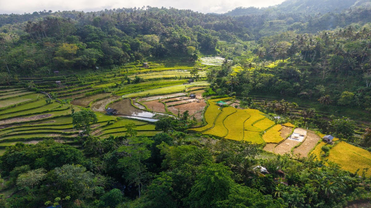 Vol pour Makassar – le pays Toraja