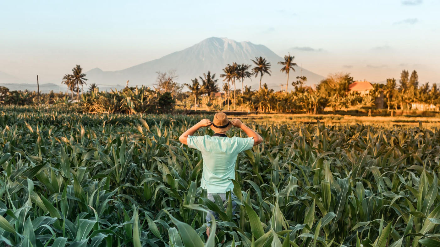 Bali en roue libre, avec chauffeur privé : Ubud, Sidemen et Sanur