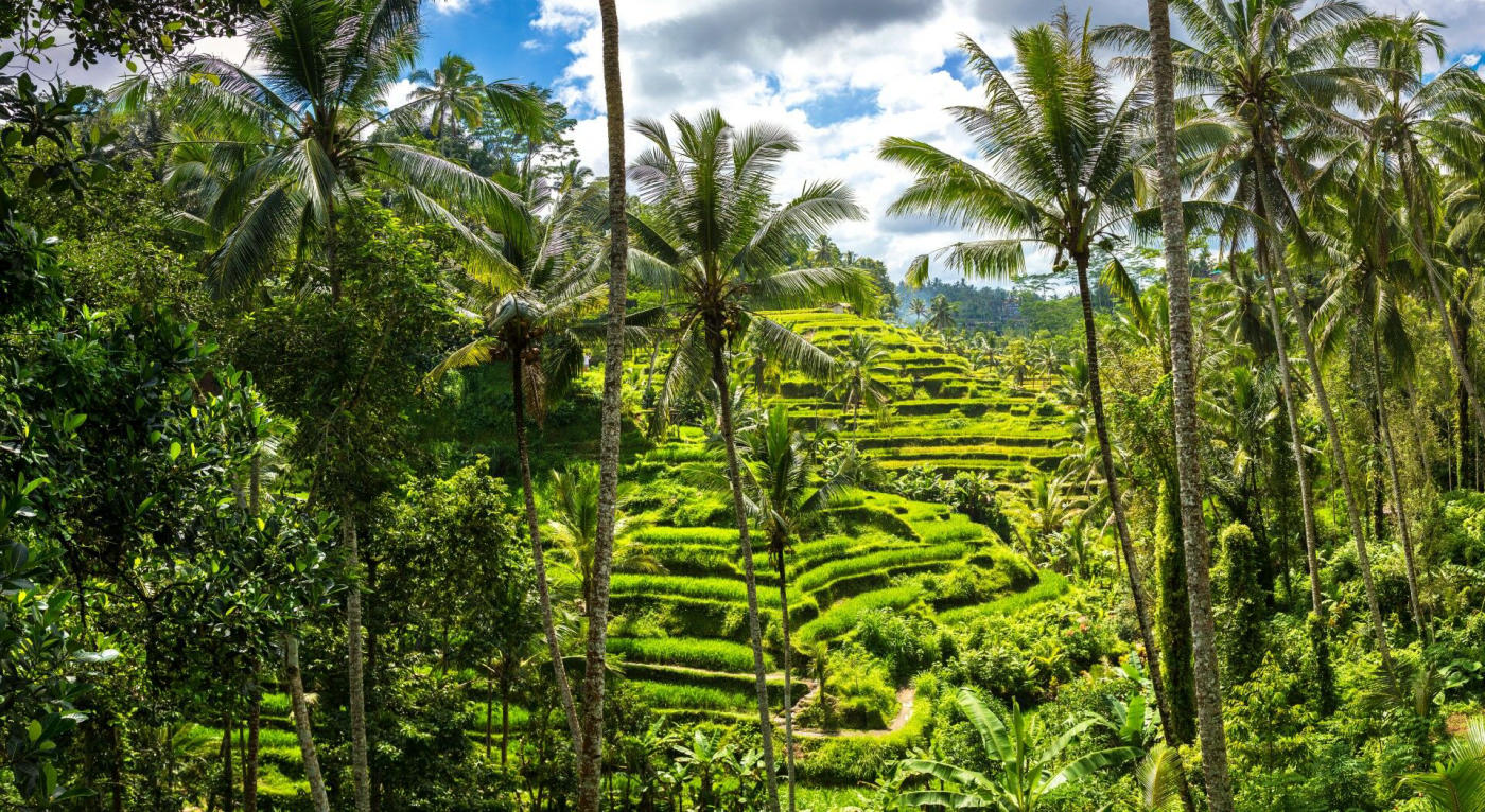 Llegada a Bali – Ubud
