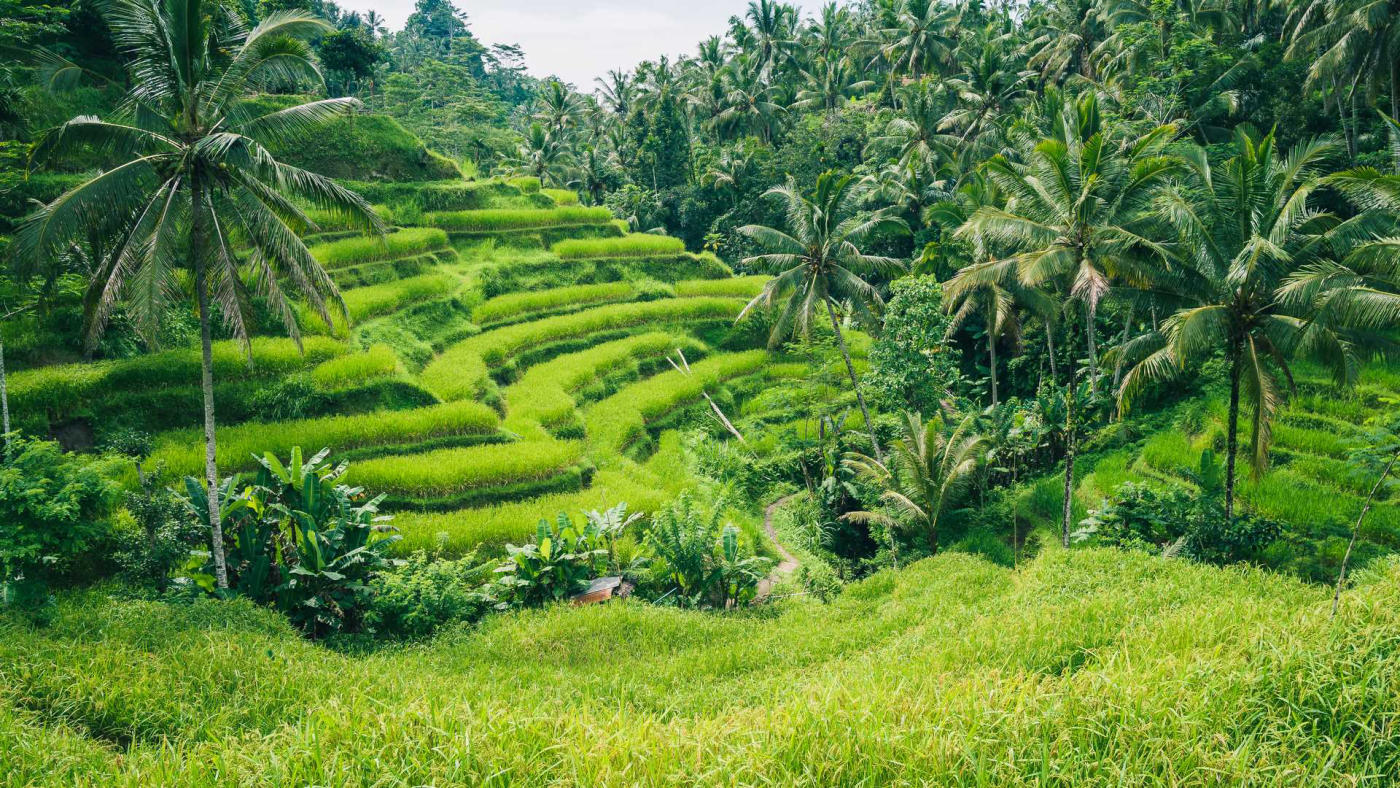 Envol pour Bali
