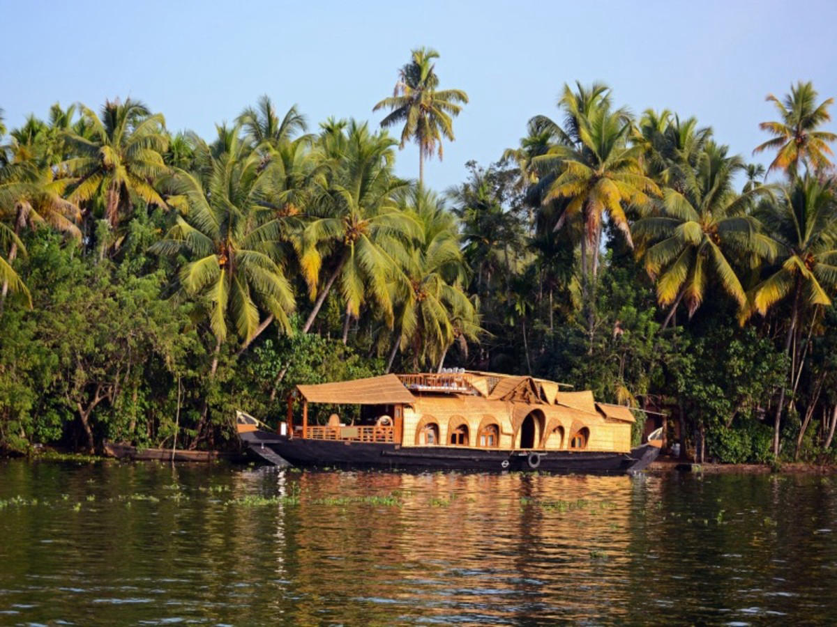 Merveilles du Kerala : Cochin, Munnar, Madurai, Periyar et les backwaters