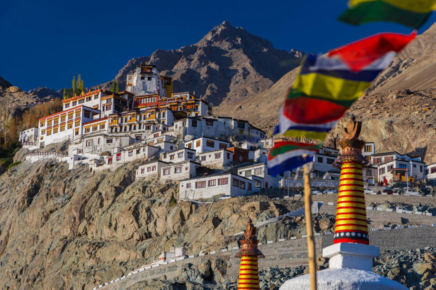 Belleza de Ladakh en privado: monasterios, el valle de Nubra y el lago Tso Moriri