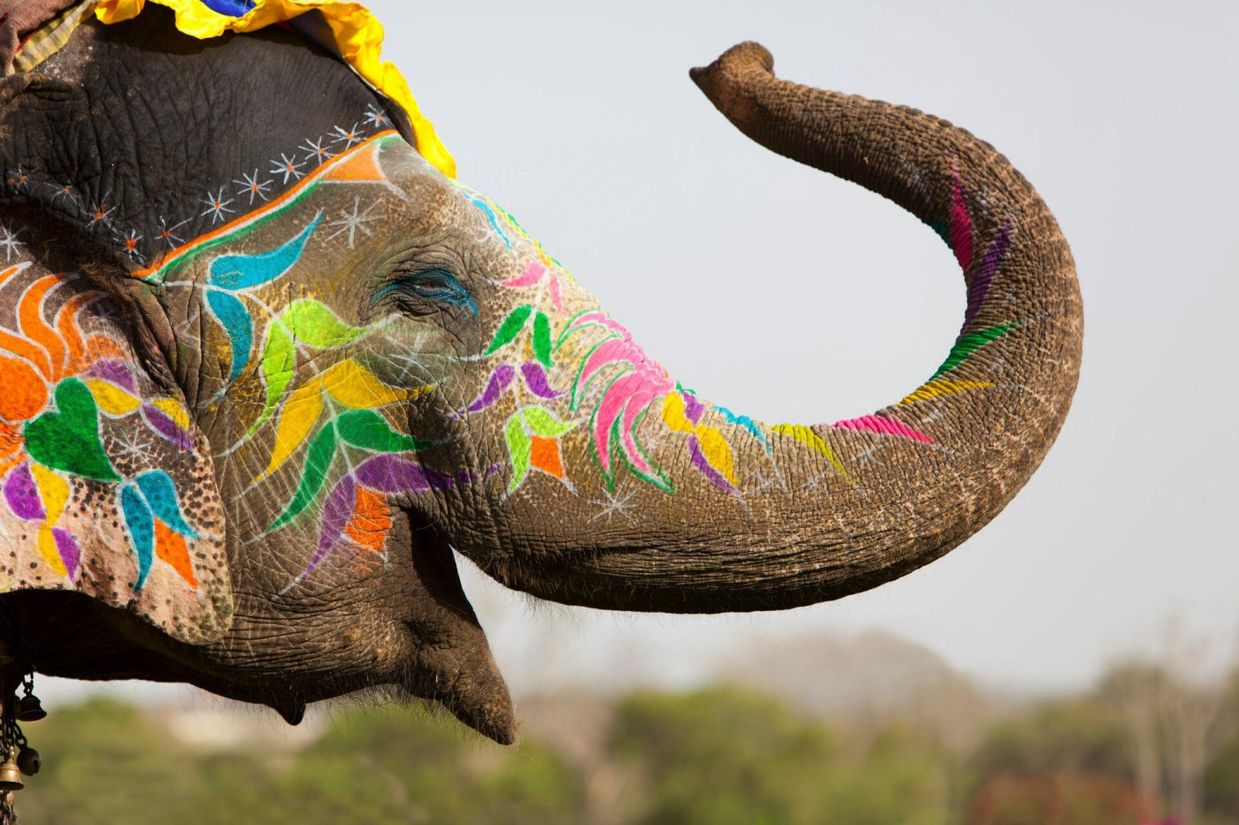 Pushkar – Jaipur