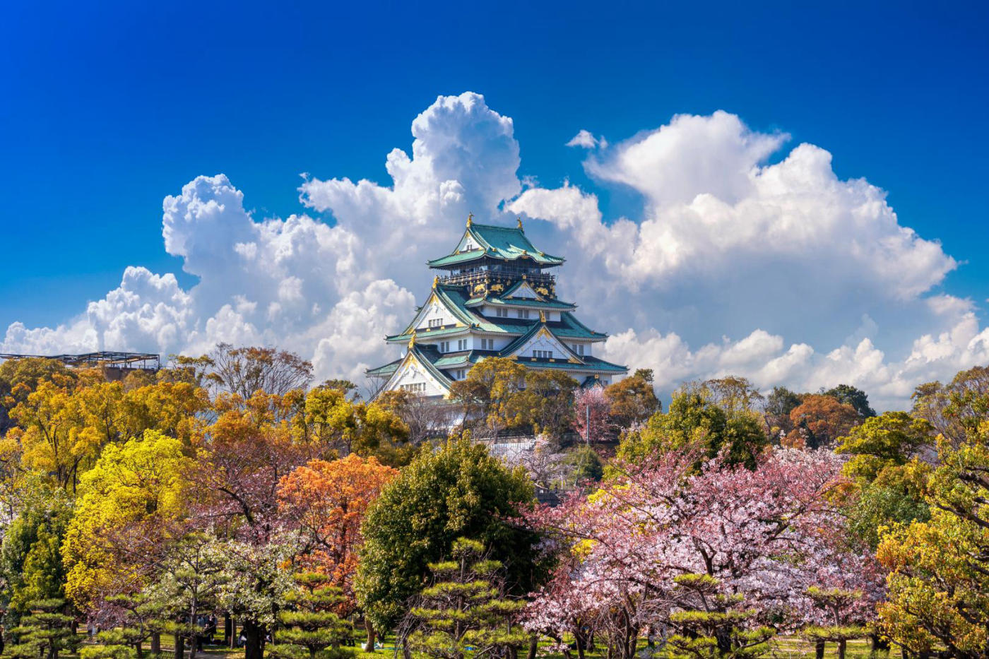 Hakone – Osaka en Shinkansen