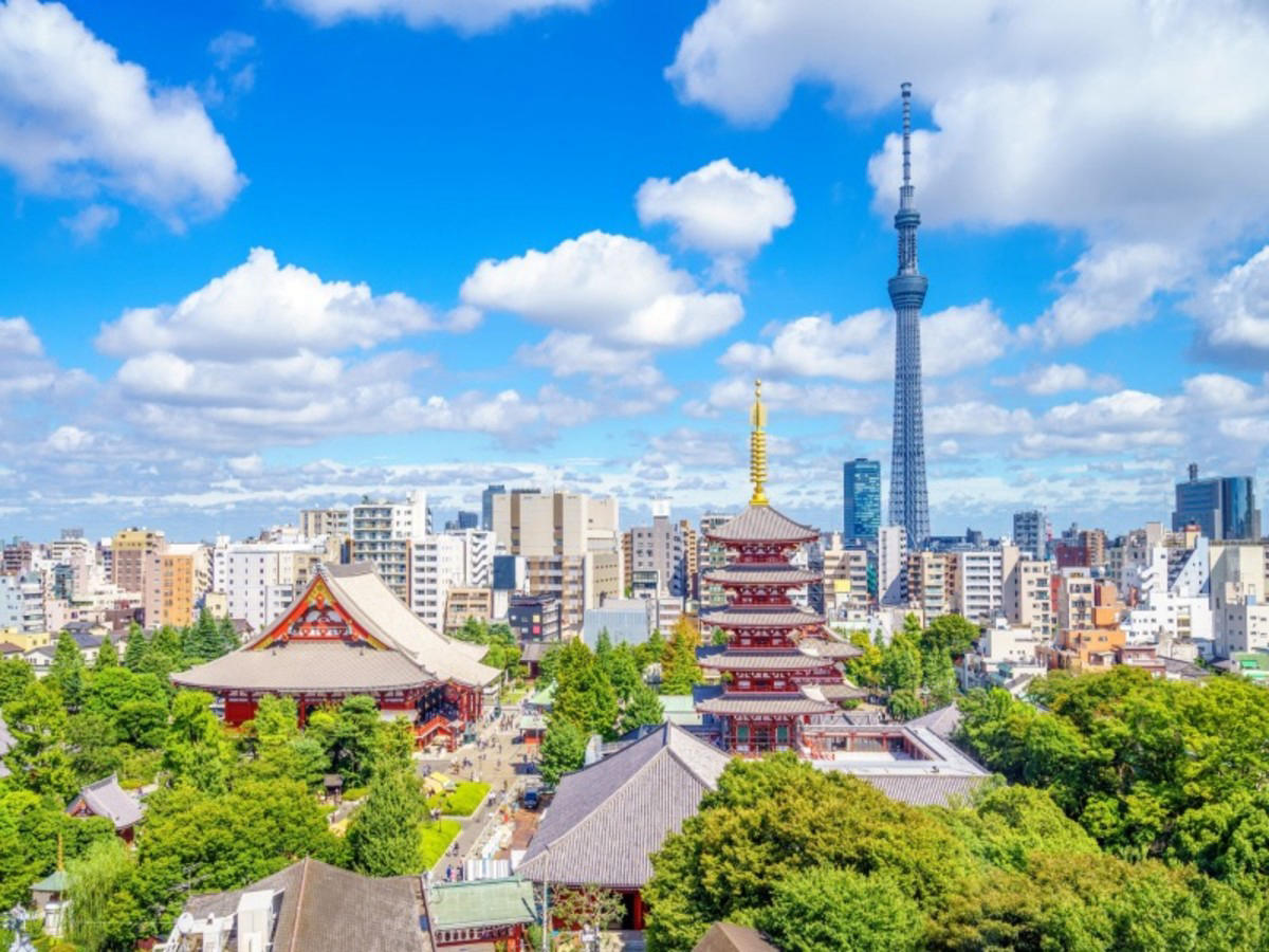 Japon en liberté : Tokyo, Hakone, Kyoto, mont Koya, Hiroshima et Osaka