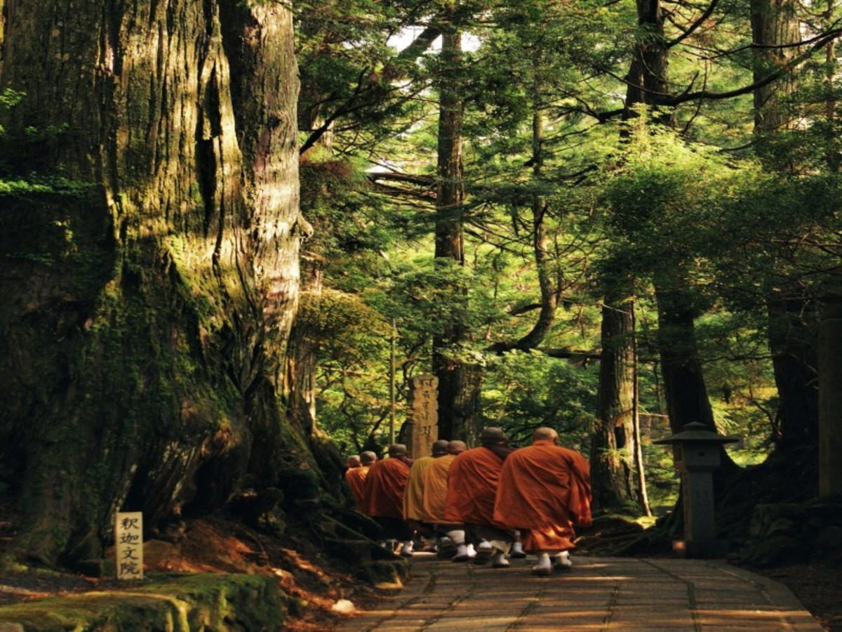 Mont Koya – Iga – Fukui
