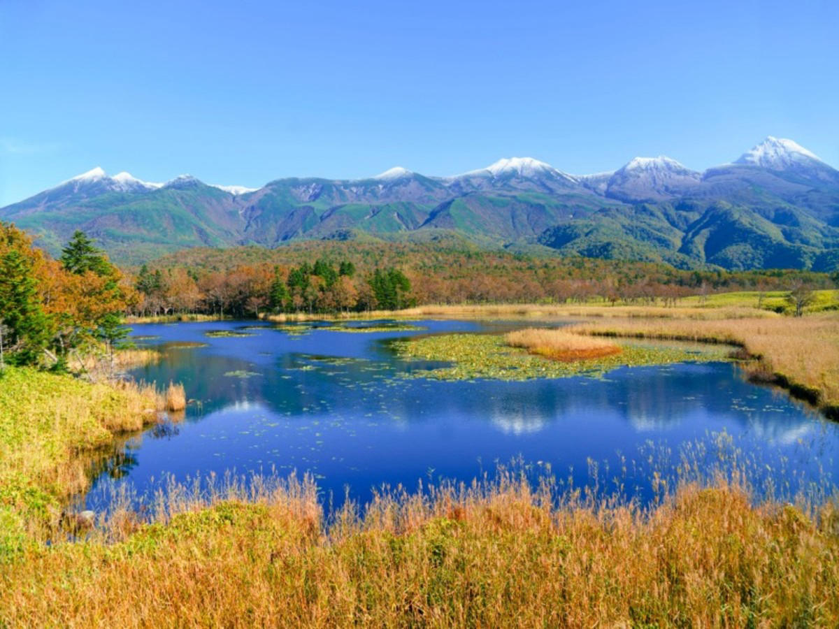 Vol pour Hokkaido – Shiretoko