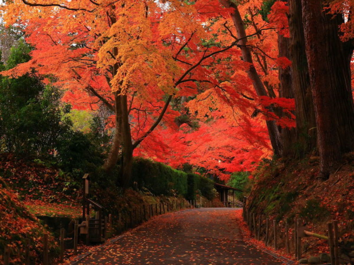 Lac Tazawa – Morioka