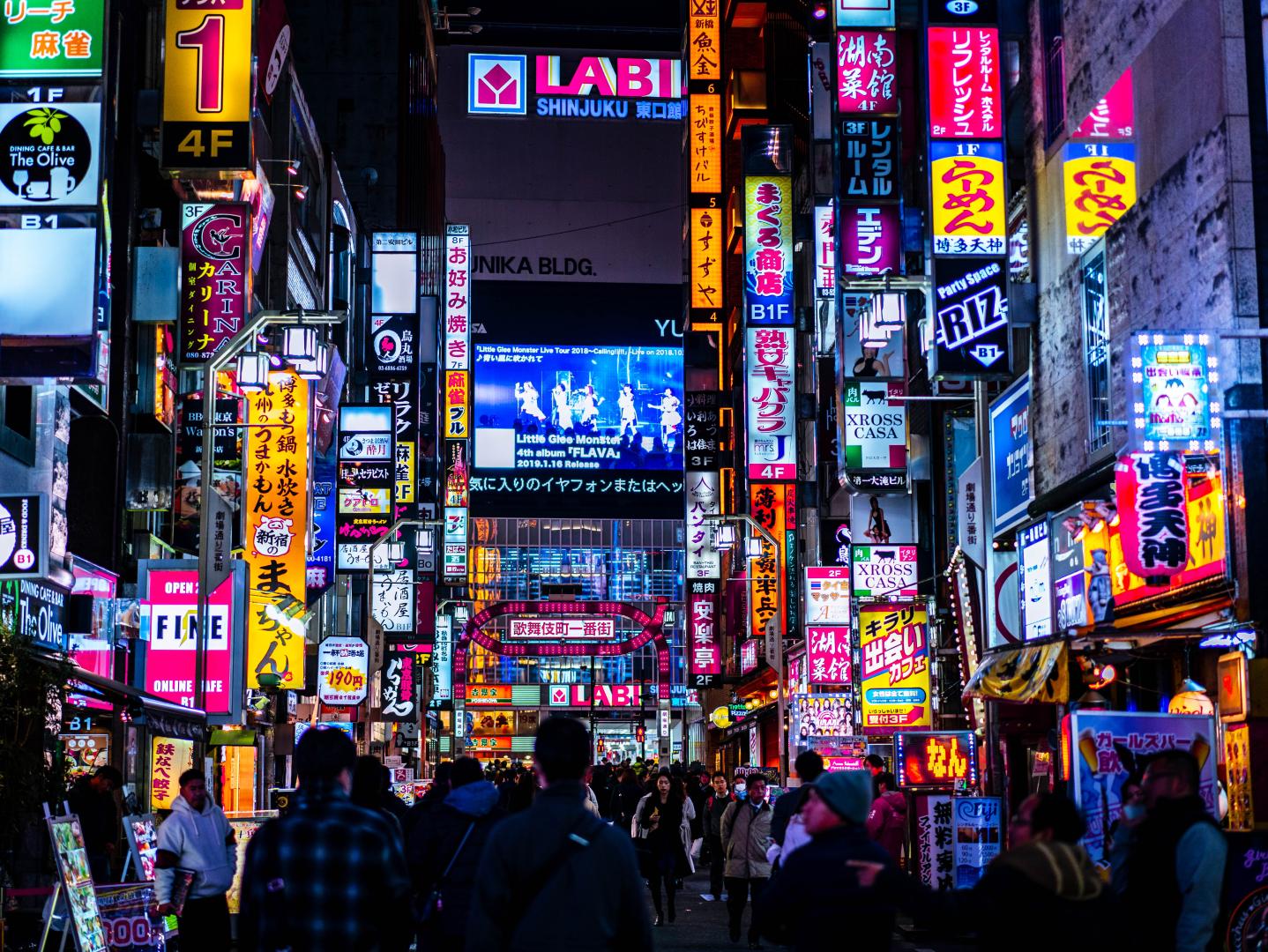 Vuelo a Japón