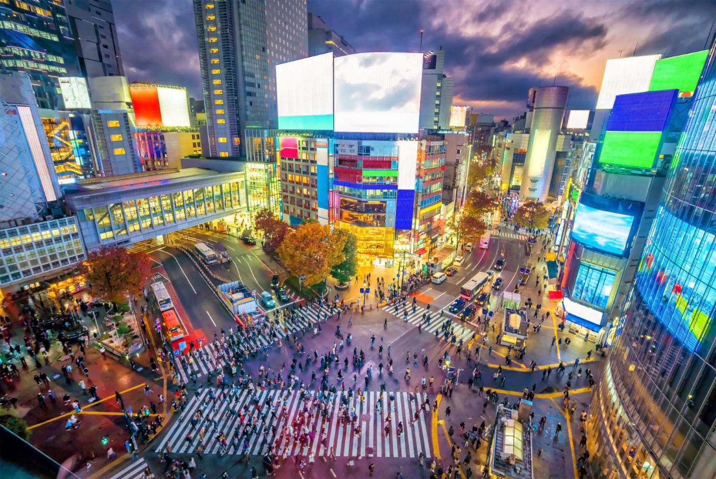Llegada a Tokio