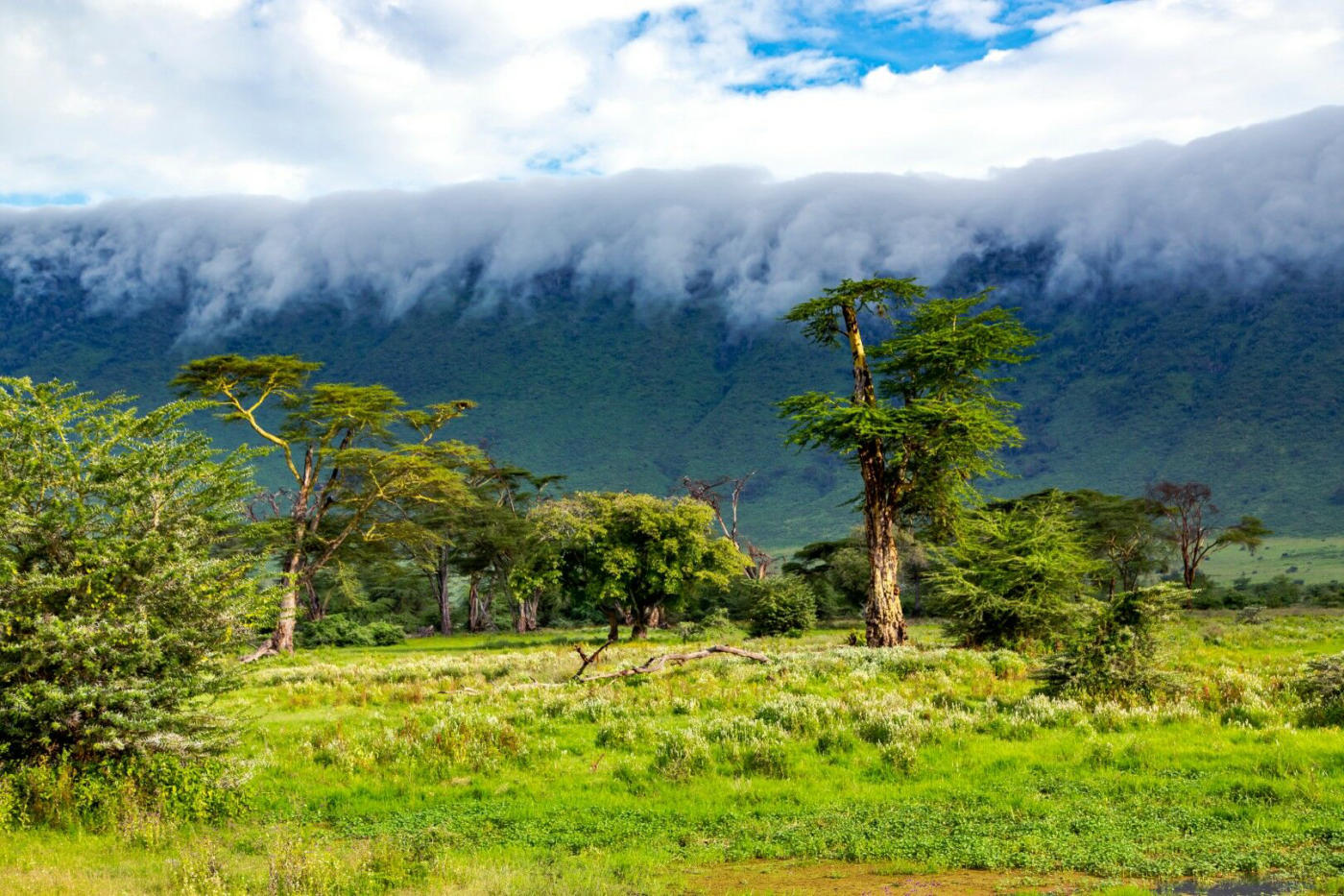 Karatu – cratère du Ngorongoro – Serengeti