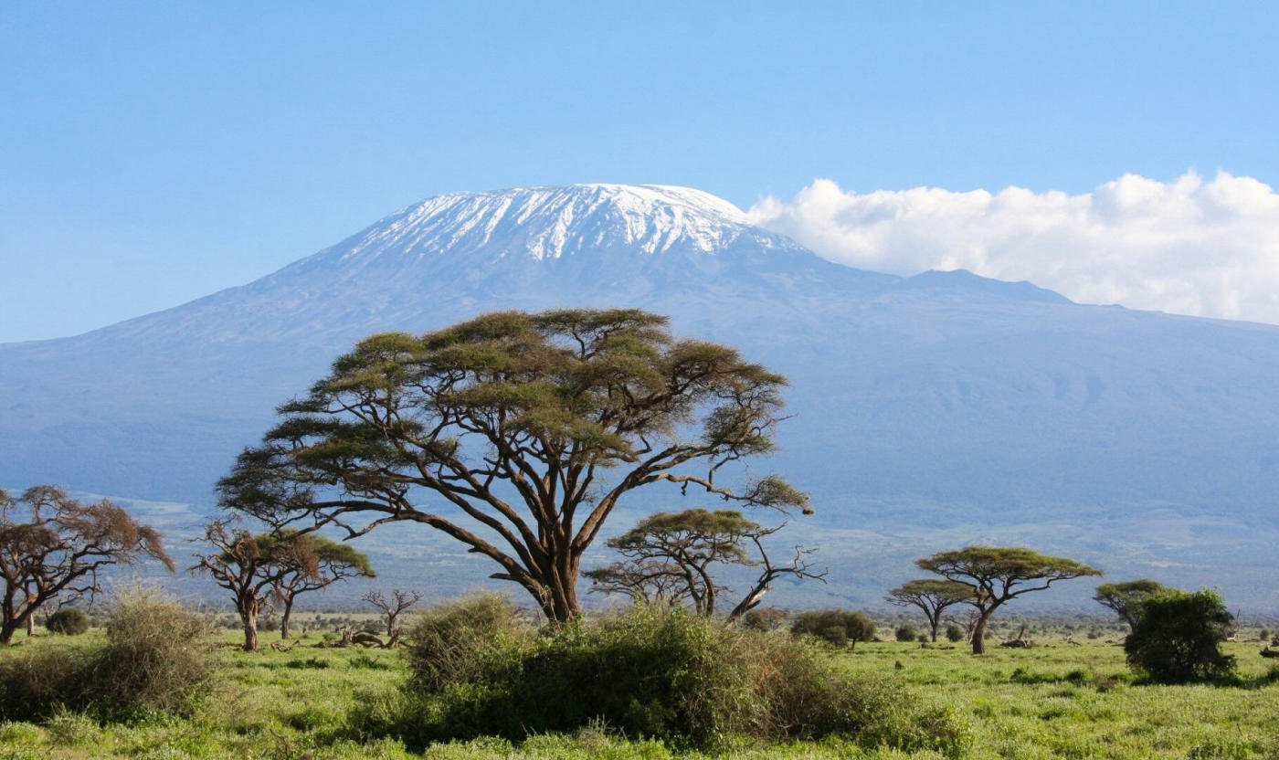 Matinée de safari à Amboseli