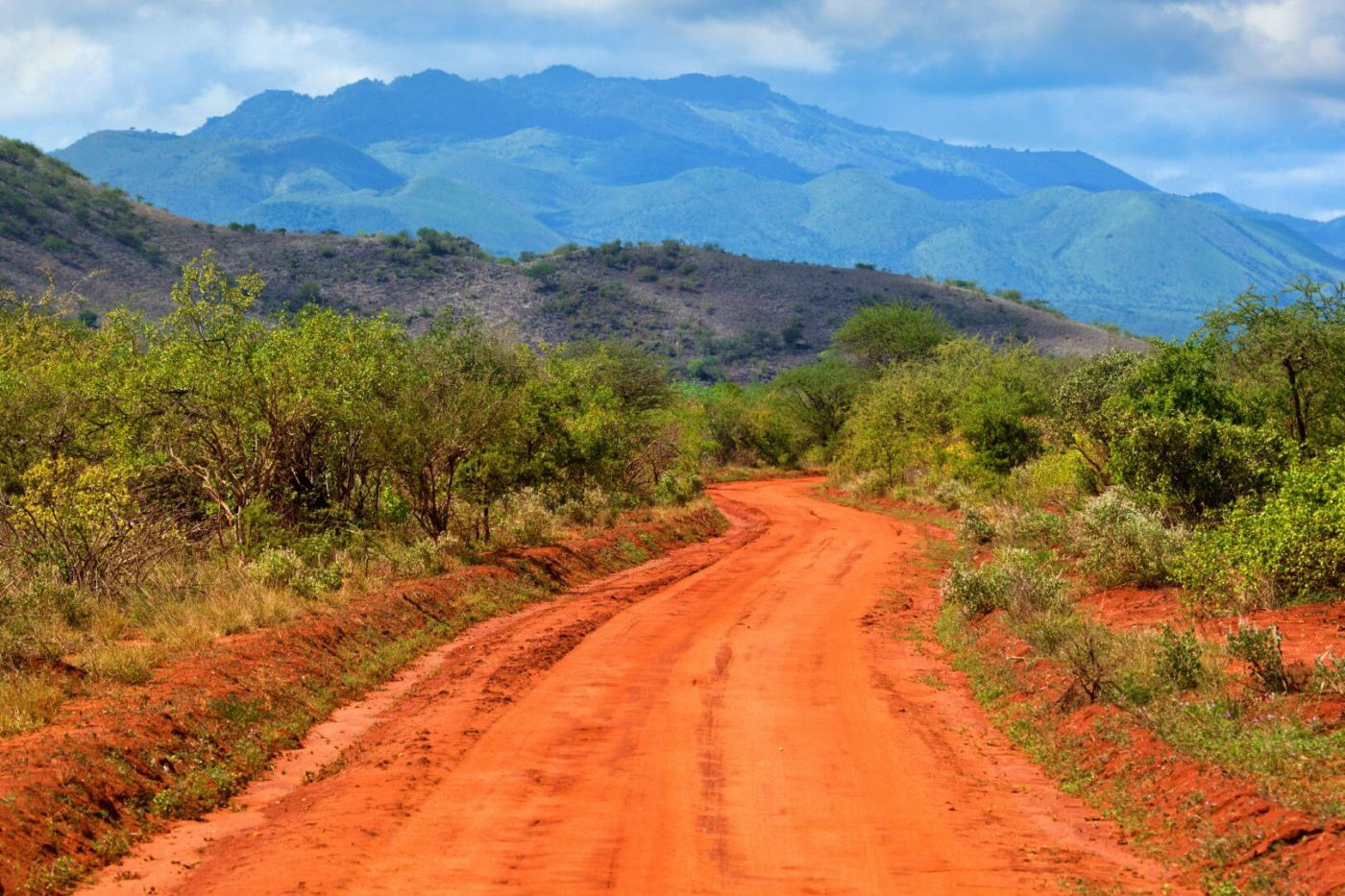 Amboseli – parc de Tsavo