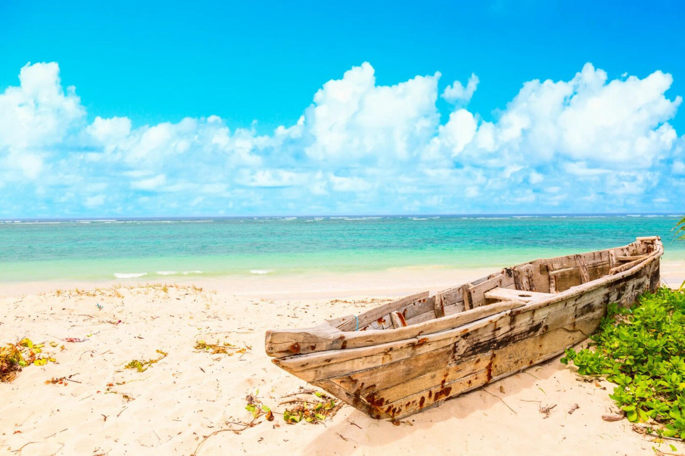 Journée libre à Mombasa