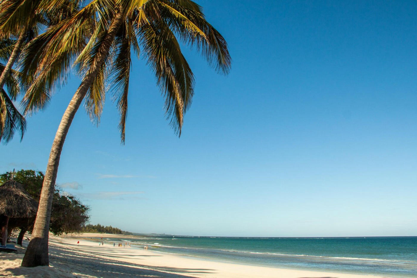 Kenya: Mombasa Beaches and a Private Safari in Tsavo East
